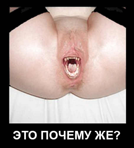 Тыжюрист