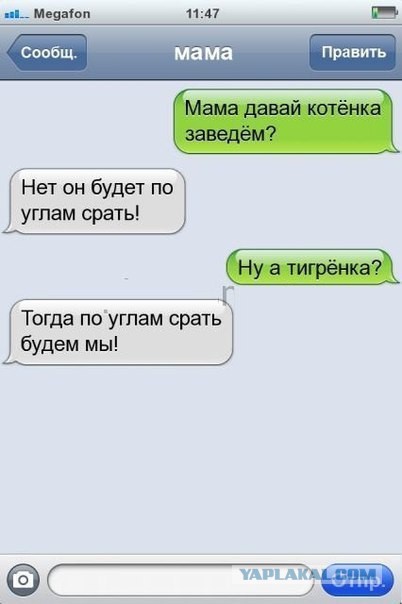 Смешные комментарии из соц.сетей