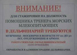 Объявления, анонсы из сети.