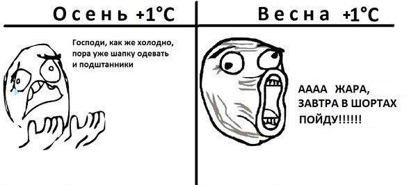 Смешные комментарии из социальных сетей 11.11.2014