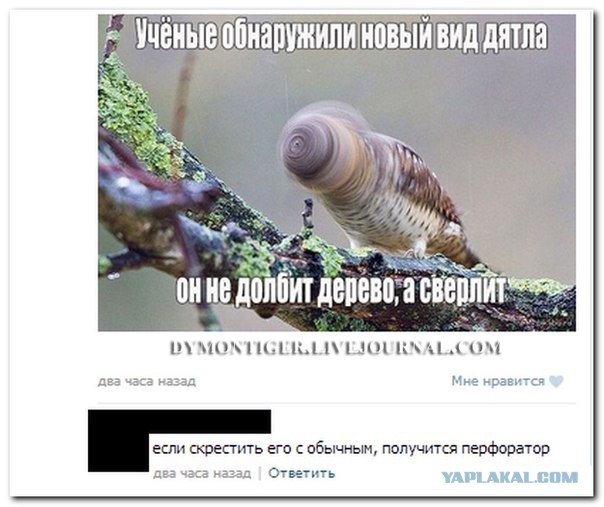 Картинки