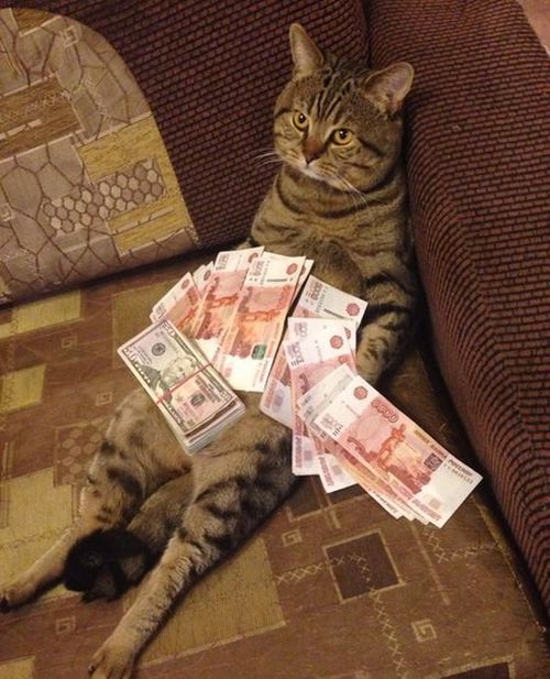 Вестник соцсетей