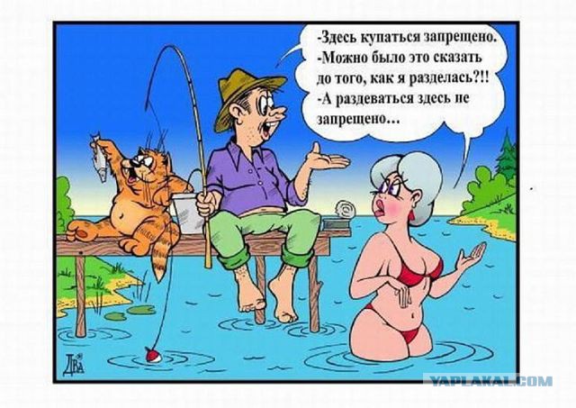 Весёлое из сети