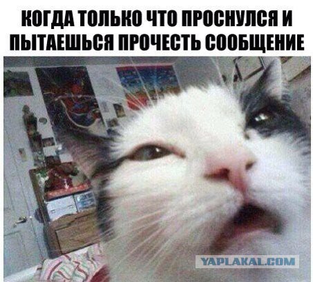 Забавные картинки.