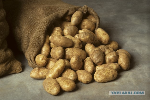 Какие продукты уникальны для Вашего региона?