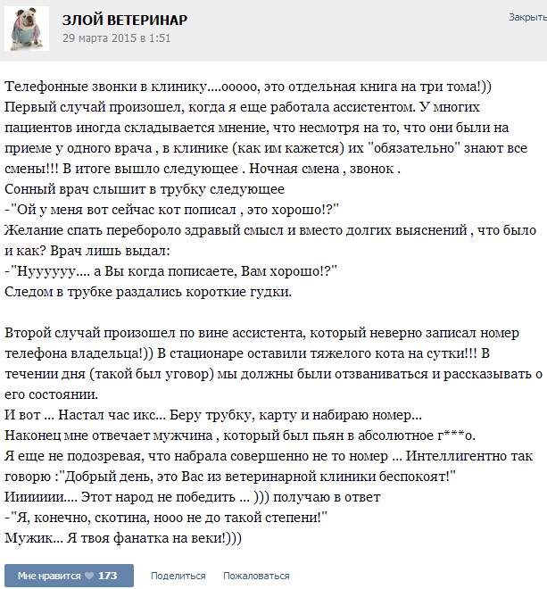 Истории от ветеринаров 4