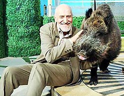 Ровер НАСА снял на Марсе животное