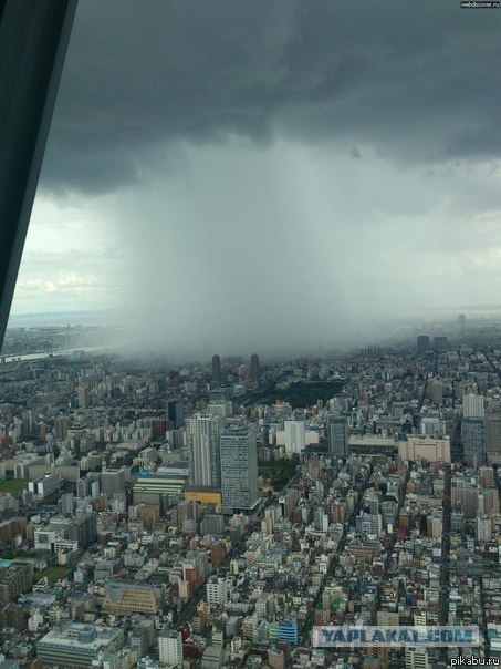 Душ заказывали?