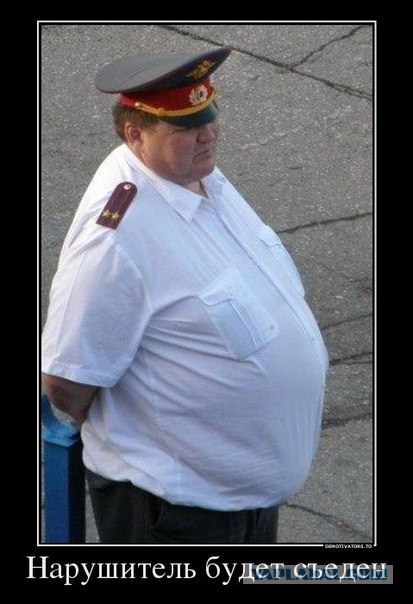 На страже закона