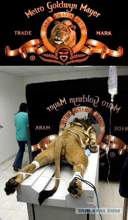 20 COUB-ов со съёмочных площадок известных фильмов