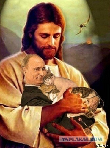 Владимир Путин с котом