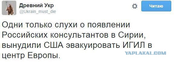 Мигранты начали штурм границы Венгрии