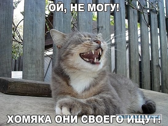 А вот это, человек, было подло...