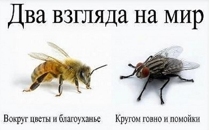 Она не кусается