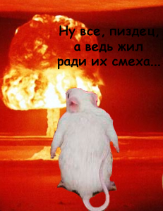 Фотожаба: Крыс пришёл домой