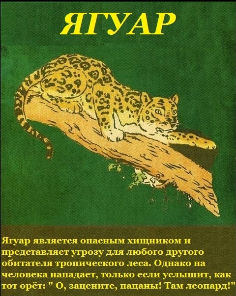 Картинки на пятницу