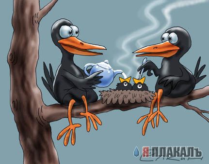 КАРИКАТУРЫ. Прикольные карикатуры