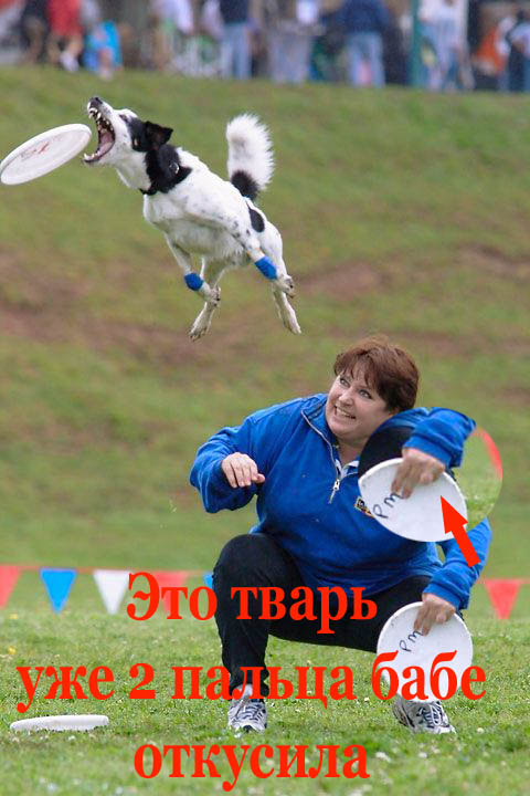 Фотожаба: летающая собака