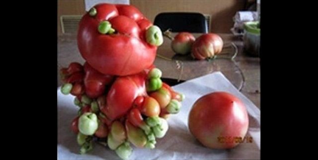 Ядерная смерть спит на дне Мирового океана