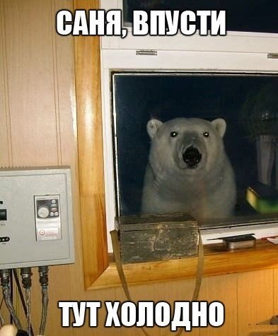 Веселые картинки