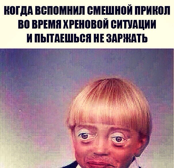 Свежая подборка прикольных картинок