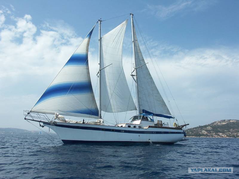 куттер — одномачтовый парусный корабль. шхуна надежда санкт-петербург. парусный катамаран проа. деревянная парусная яхта швертбот. гафельный кеч святой петр.