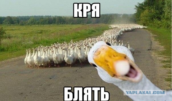 Тот момент,когда хочешь закрыть рот, но не можешь