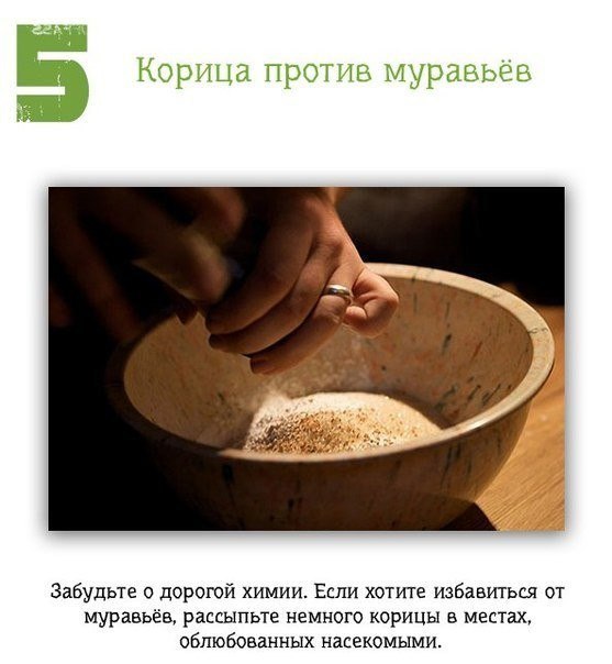 Подборка "тёплых уютных домашних" фотографий, часть 6