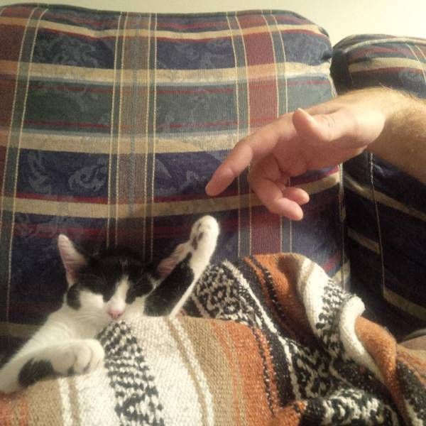 Ага, снова эти картинки и гифки