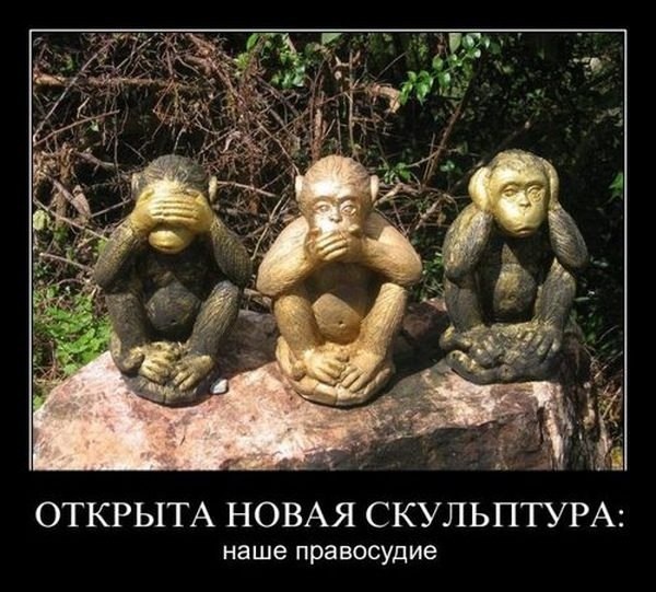 Картинки с сети