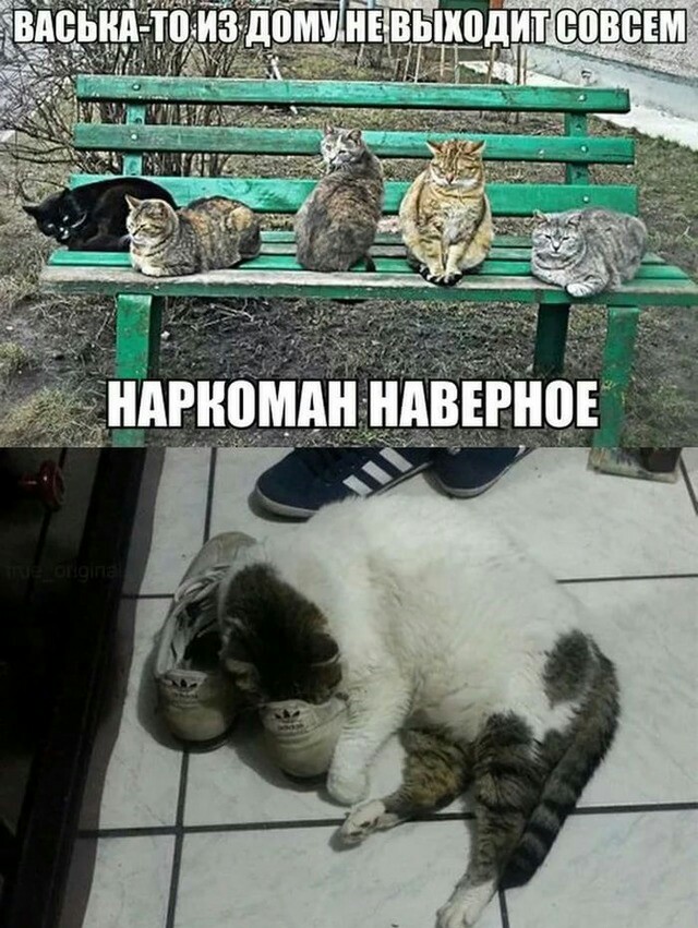 Что выйдет совсем. Что выйдет совсем. Что выйдет совсем. Молодежь юмор. Комикс про обиду.