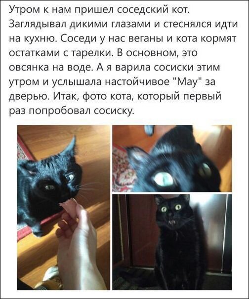 Ужасы и приколы из соцсетей 18+
