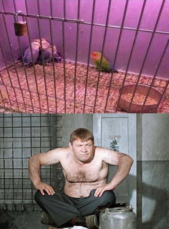 Подборка интересных и веселых картинок