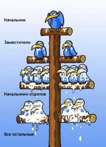 На собеседовании