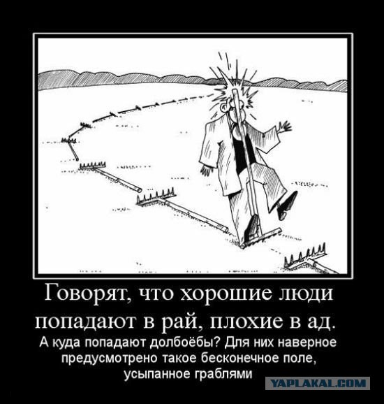 Медведев снял ответственность с государства