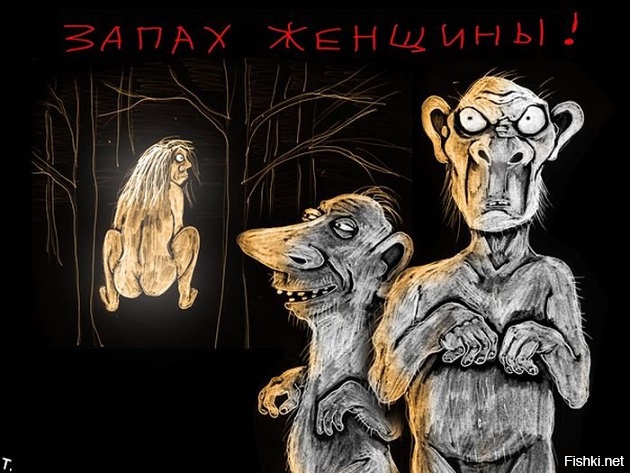 Итоги проверки пользователей