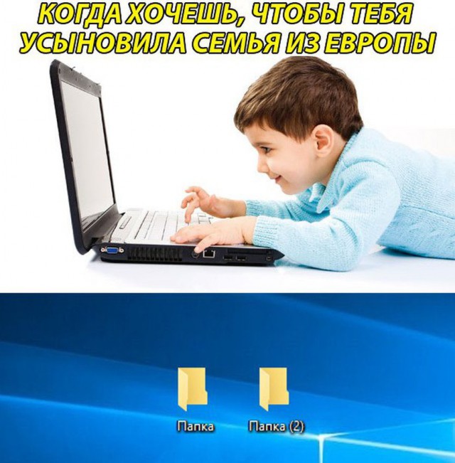 Итоги проверки пользователей