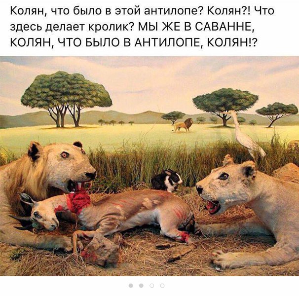 Субботняя вакханалия с большой дозой идиотизма