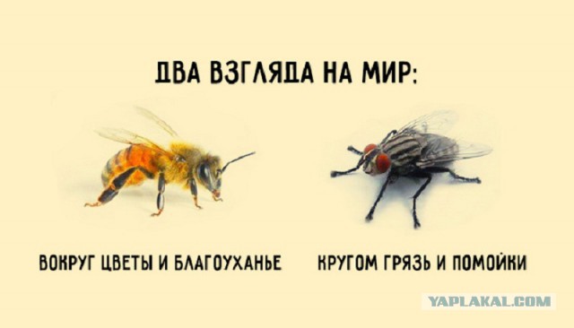 О футболе с точки зрения геополитики, или мы изменились...