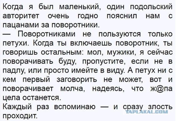 7 типов водителей, которые не включают поворотники