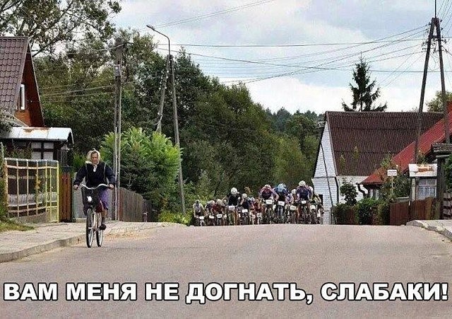 Лента прикольных картинок