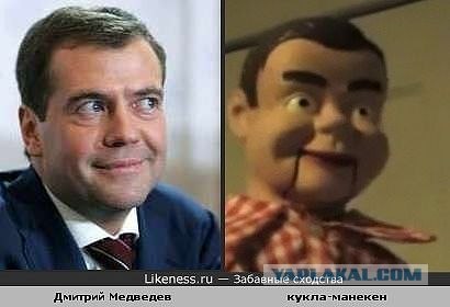 Кошка Люси Лью