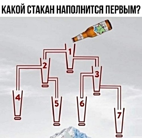 Анекдоты, соц-сети, истории и картинки с надписями