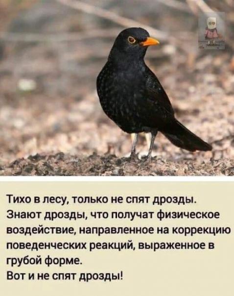 Немного юмора из этих ваших соцсетей