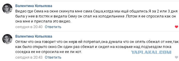 Помогите вернуть кота! Приют "Преданное сердце" украл кота и не отдает!-2