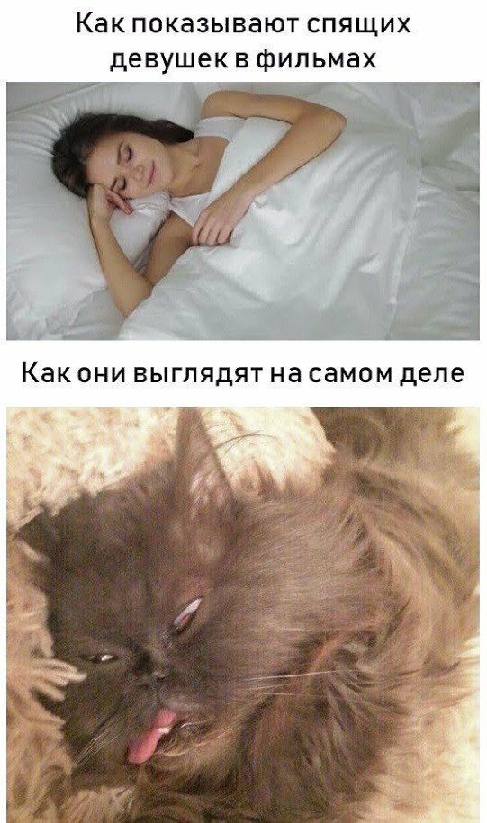 Бредзона картиночная
