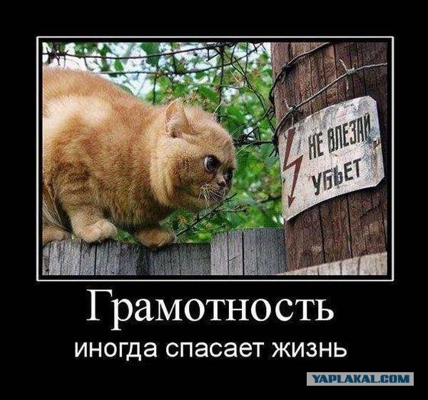Этот взгляд