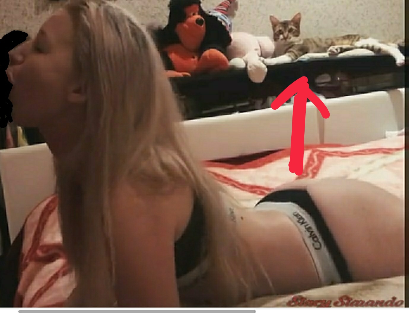 Stacy starando порно фото 45
