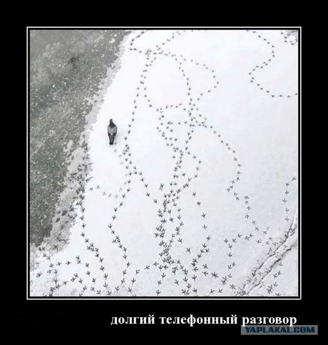 Бредзона 06.03.2020