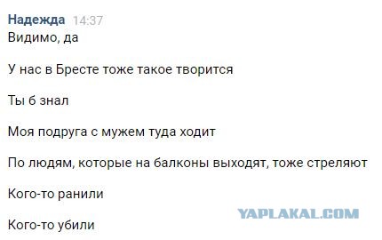 Разница революций или почему Беларусь не Украина